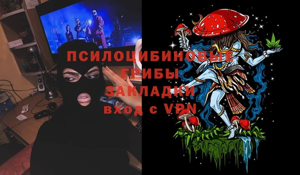 эйфоретик Алексин