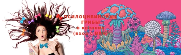 прущая мука Ельня